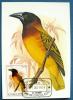 SAINT THOMAS ET PRINCE: OISEAUX Sur CARTES MAXIMUMS  (yvert 556/60 + PA. ) Serie Complete De 1979 - Sonstige & Ohne Zuordnung