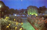 17222    Regno  Unito,   Folkestone,  Kingsnorth  Gardens  By  Night,  NV - Folkestone