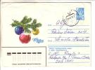 GOOD USSR Postal Cover 1979 - Happy New Year - Nouvel An