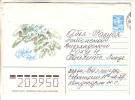 GOOD USSR Postal Cover 1986 - Happy New Year - Nouvel An