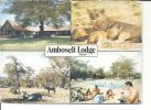 KENIA.AMBOSELI LODGE .NATIONAL PARK  -G196 -FG - Kenya