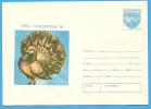 Pigeons. Dove ROMANIA Postal Stationery Cover 1978 - Pigeons & Columbiformes