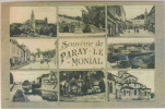 PARAY LE MONIAL (Saône Et Loire) - Souvenir De Paray Le Monial - Multivues - Paray Le Monial