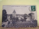 GEVREY-CHAMBERTIN (COTE D´OR) LES VIGNES. LE VIEUX CHATEAU. - Gevrey Chambertin