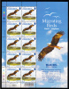 Alderney Scott #186 MNH Minisheet Of 10 27p Black Kite - Migrating Birds - Alderney