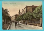 SULMONA VIALE ROOSEWELT CARTOLINA FORMATO GRANDE NON VIAGGIATA - Andere & Zonder Classificatie