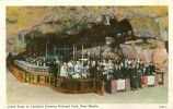 USA – United States –  Lunch Room In Carlsbad Caverns National Park, New Mexico 1920s Unused Postcard [P4397] - Other & Unclassified