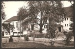 Erholungsheim Dankensberg Beinwil Am See 1950 - Autres & Non Classés