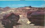 USA – United States –  Petrified Forest National Park, Arizona 1963 Used Postcard [P4446] - Other & Unclassified