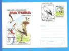 Birds, Bird, Stork, Ciconia, Ciconia. ROMANIA Postal Stationery Cover 1998 - Cigognes & échassiers