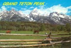 USA – United States – Grand Teton Peak, Wyoming, Unused Postcard [P4458] - Other & Unclassified