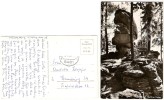 AK 66 Steinwald. Berliner Felsen 14.-6.68 -17 8481 RE ........... RF Briefmarke Entfernt Nach 2 Hamburg - Marktredwitz