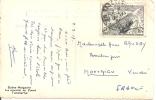 N Y&   329 TANANARIVE       Vers   MONTAIGU             Le 07 MARS 1957 - Storia Postale