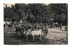 Saint Sever Vers 1900 Marche Aux Chevaux Sur La Place Ecrite En 1907 - Saint Sever