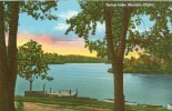 USA – United States – Spring Lake, Macomb, Illinois, 1920s Unused Postcard [P4465] - Other & Unclassified