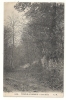 Ville-D'Avray (92) : Le Chemin Le Long D'un Mur Dans Les Bois En 1910. - Ville D'Avray