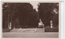 Parc De SCEAUX : L'Allée De La Diane - Sceaux