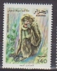 Algérie. Algeria.  Macaque Berbère  (Macaca Sylvanus) ** - Affen