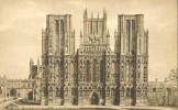 Britain – United Kingdom – Wells Cathedral, West Front, Early 1900s Unused Postcard [P4543] - Wells