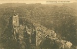 Germany – Die Niederburg Bei Manderscheid 1917 Unused Postcard [P4576] - Manderscheid