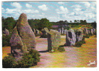 CARNAC, Finistère; Dolmens, Menhirs; Alignements De Kermario; 1979; TB - Dolmen & Menhirs