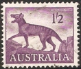 AUSTRALIA - USED 1959 1/2d Animal Definitives - Tasmanian Tiger - Used Stamps