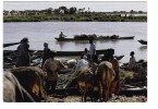 CPSM - NIGER -  AYOROU - Transport Des Marchandises En Pirogue Au Marché - Niger