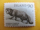 4860 Renard Alopex  Islande Cercle Polaire Pole Nord Arctique Chasse Arctic - Autres & Non Classés