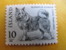 4861 Chien Canis Hundur Dog  Islande Cercle Polaire Pole Nord Arctique Chasse No Taaf  Arctic - Other & Unclassified