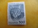 4863 Cat Chat  Islande Arctic Arctique Polaire Kitten Puss Gib Katze Kat Gato Gatto - Autres & Non Classés