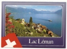 ST. SAPHORIN-LAC LEMAN-not Traveled - Saint-Saphorin