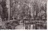 Wonck - Vallée Du Geer - Promenade Paisible, Sous Les Peupliers Le Long Du Geer - Bassenge