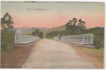 CPA NOUVELLE-CALEDONIE - PONT DE LA DUMBEA - Nieuw-Caledonië