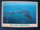 CPSM 56 Ile Aux Moines   L799 - Ile Aux Moines