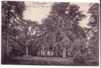 SAINT-GRATIEN  ( Val-d´Oise )   Le Bois Dans Le Parc Du Château - Saint Gratien