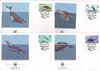 0212aw: Faröer- Inseln, 4- Teilige Serie Aus 1990: Wale Des Nordatlantiks (WWF- Ausgabe) - Baleines