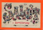 SEMBLANCAY - Un Salut De Semblançay - Semblançay