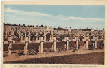 - 51 - SOUAIN - Le Cimetière Militaire - - Souain-Perthes-lès-Hurlus