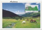 ANDORRA ESPAÑOLA / SPANISH - Carte Maximum Card - ATM EPELSA - Mountain, Lake, Horses - Brieven En Documenten