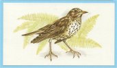 Grandee British Birds Collection - 30 - Mistle Thrush, Grive Draine, Grote Lijster - Player's