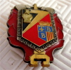 INSIGNE POMPIER " PUCELLE"    ( BRIGNOLLES Var) - Firemen