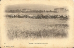 ALGERIE * BATNA - Marché Aux Bestiaux - Batna