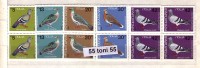 BULGARIA / Bulgarie 1984 BIRDS - Pigeons 5 V.-MNH   Block Of Four - Duiven En Duifachtigen