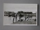 Ref1106 Carte Photo 110 A.O.F. Soudan. Lessive Au Bord Du Niger. Collection G. Lerat. - Sudan