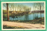 NEUILLY-L'EVEQUE  - UNE VUE DE LA DIGUE DE CHARMES - Neuilly L'Eveque