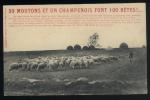 99  Moutons Et Un Champenois Font 100 Bêtes - Lorraine