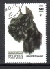 AFGHANISTAN - Timbre N°1574 Oblitéré - Chien - Afghanistan