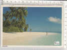 PO8213A# MALDIVE  VG 2000 - Maldives