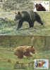 Bears Ours,1978-87 CM,maxicard,cartes Maximum,2X - Romania. - Osos