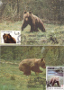 Bears Ours,1983-93 CM,maxicard,cartes Maximum,2X - Romania. - Osos